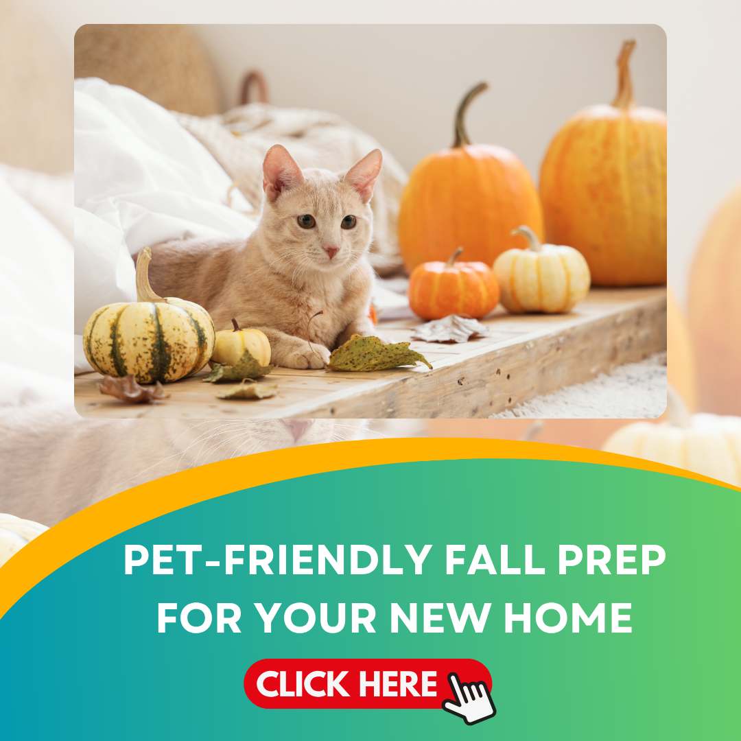 Pet-Friendly Fall Prep For Your New Home