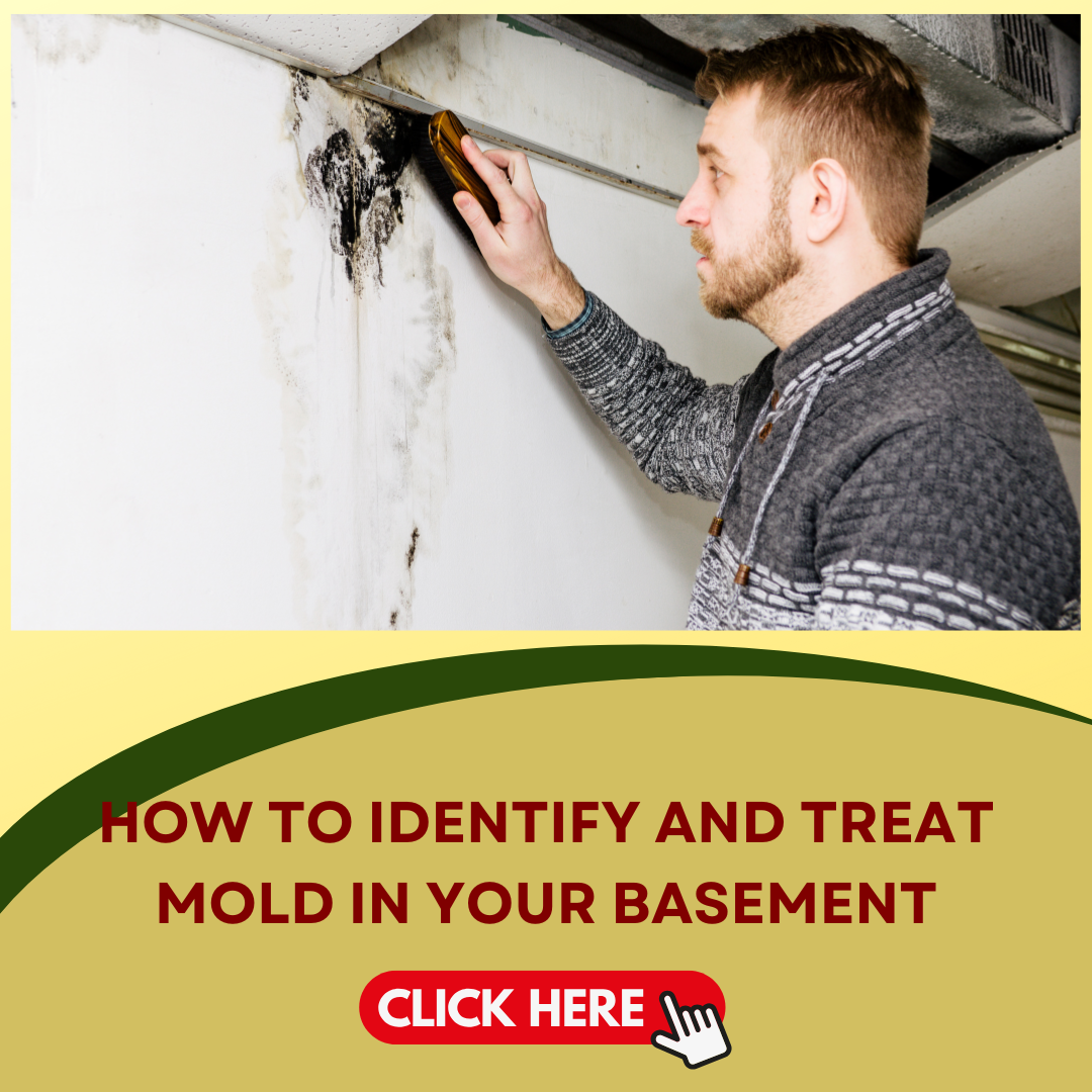 How to Identify and Treat Mold in Your Basement 